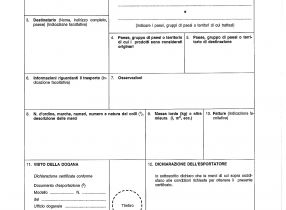 Novità Emissione EUR 1, EUR MED e ATR